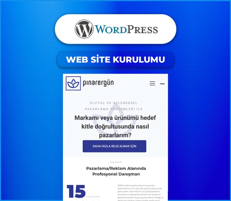wordpress1